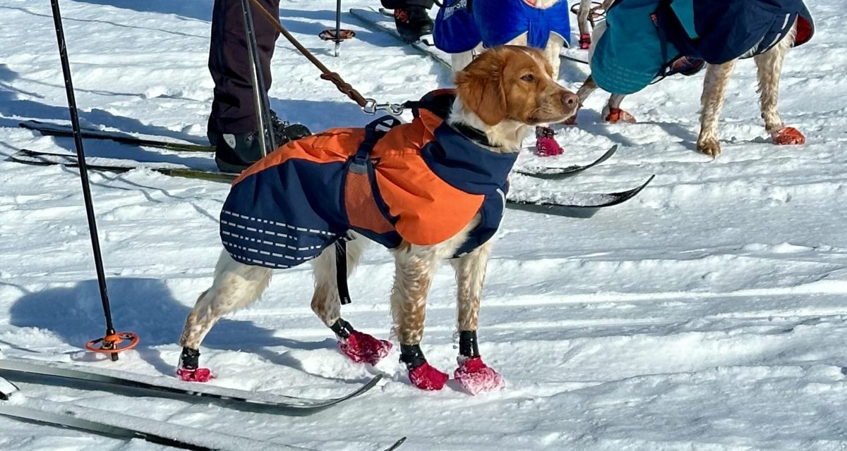 1ÖKL til Tjetterskarets RC Rollaug