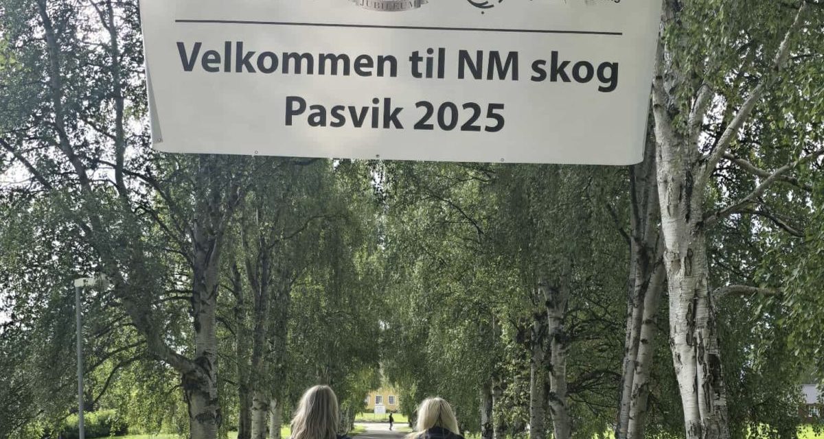 NM Skog 2025 – 6 Breton til finalen!