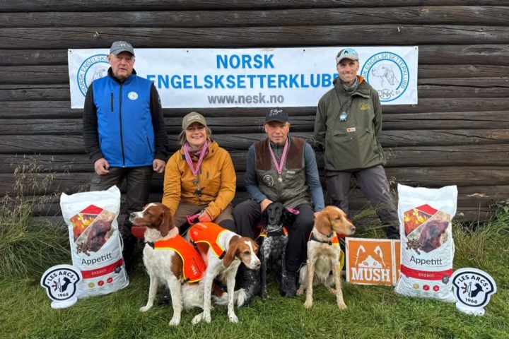 Bronse til bretonlaget på NM lag høyfjell